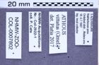 Etiketten zu Athous vittatus (Fabricius, 1792) (NHMW-ZOO-COL-0007802)